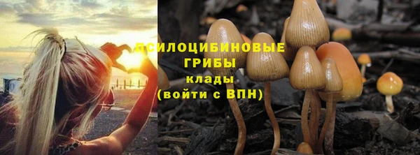 прущая мука Балабаново