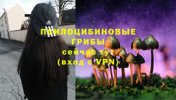 герыч Балахна