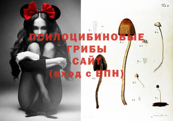 герыч Балахна