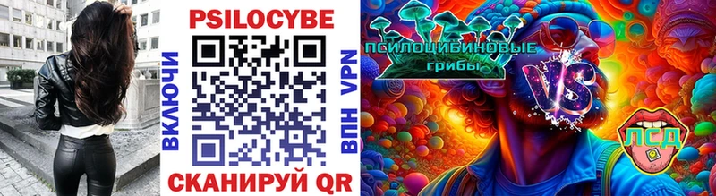 Псилоцибиновые грибы Magic Shrooms  как найти закладки  hydra сайт  Пятигорск 